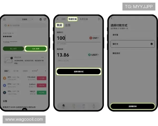 ag下载官网欢迎你，常见问题解答与软件下载安全保障措施