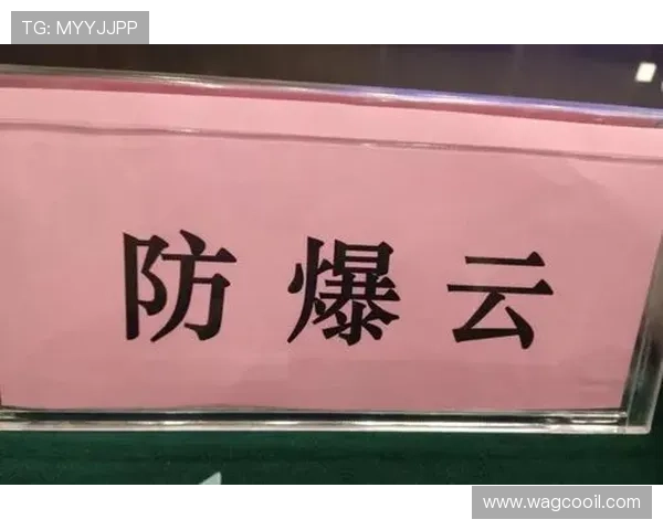 九游体育旗舰平台积极推动体育产业数字化转型，助力行业发展