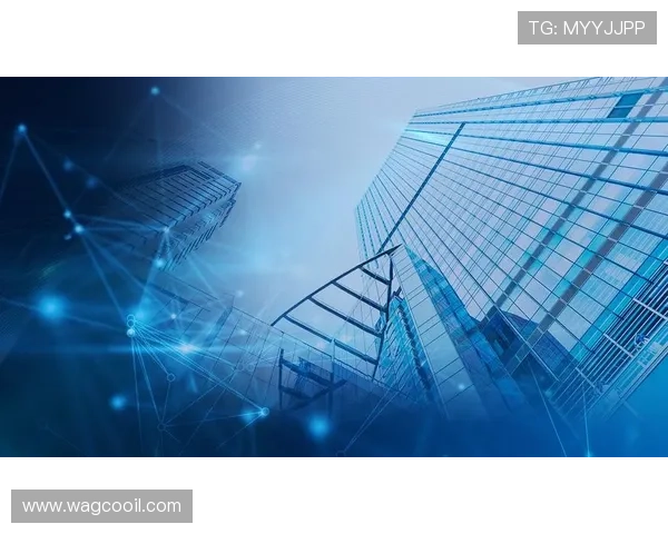 九游j9集团最新动态与发展趋势全面解析 九游j9集团最新动态与发展趋势全面解析